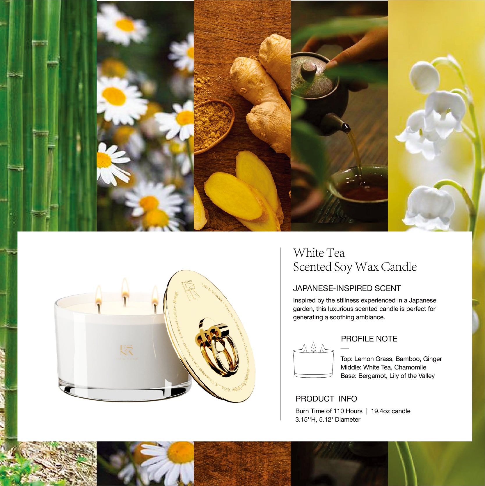 3-Wick White Tea Scented Candle | Brillo Collection