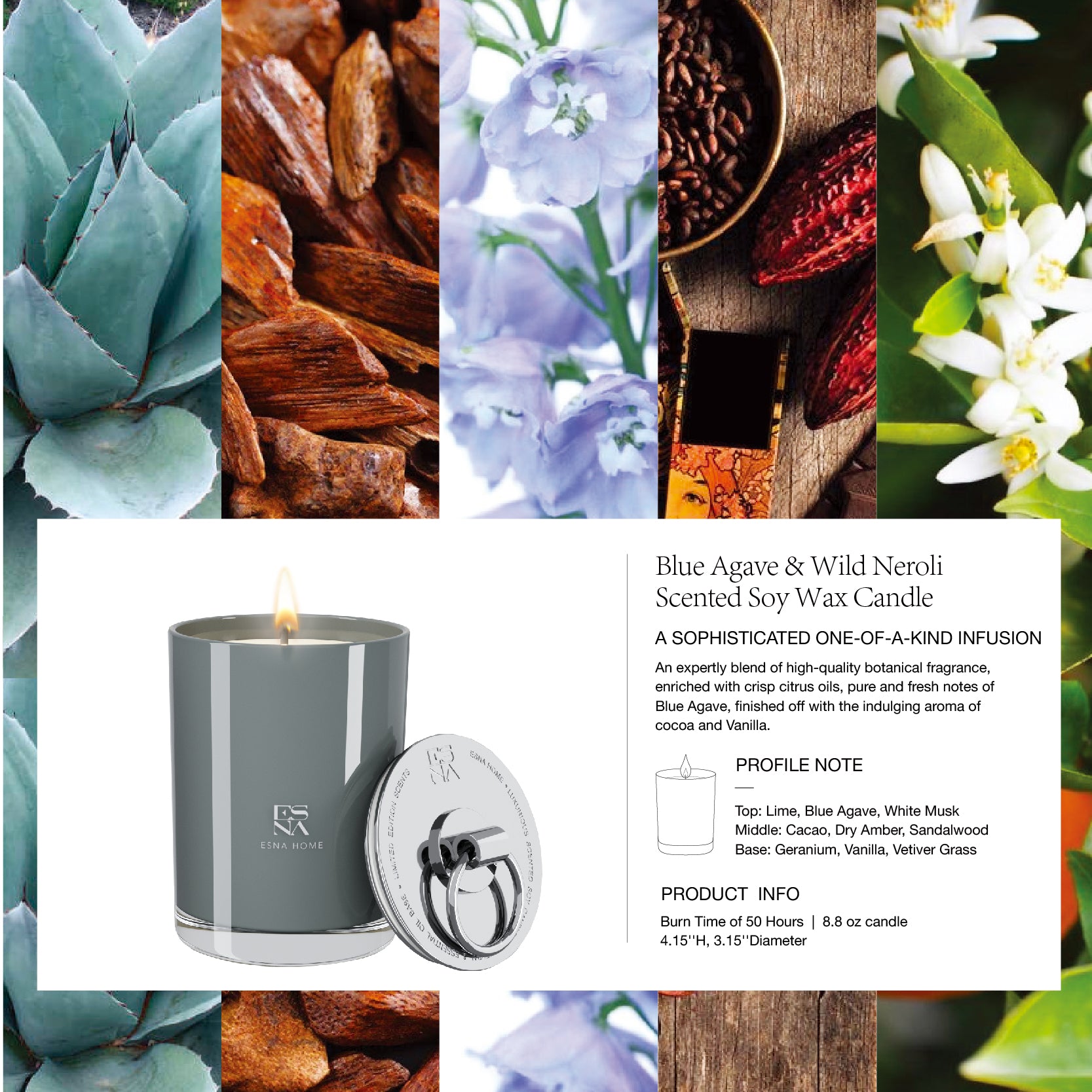 Blue Agave & Wild Neroli Scented Candle | Brillo Collection