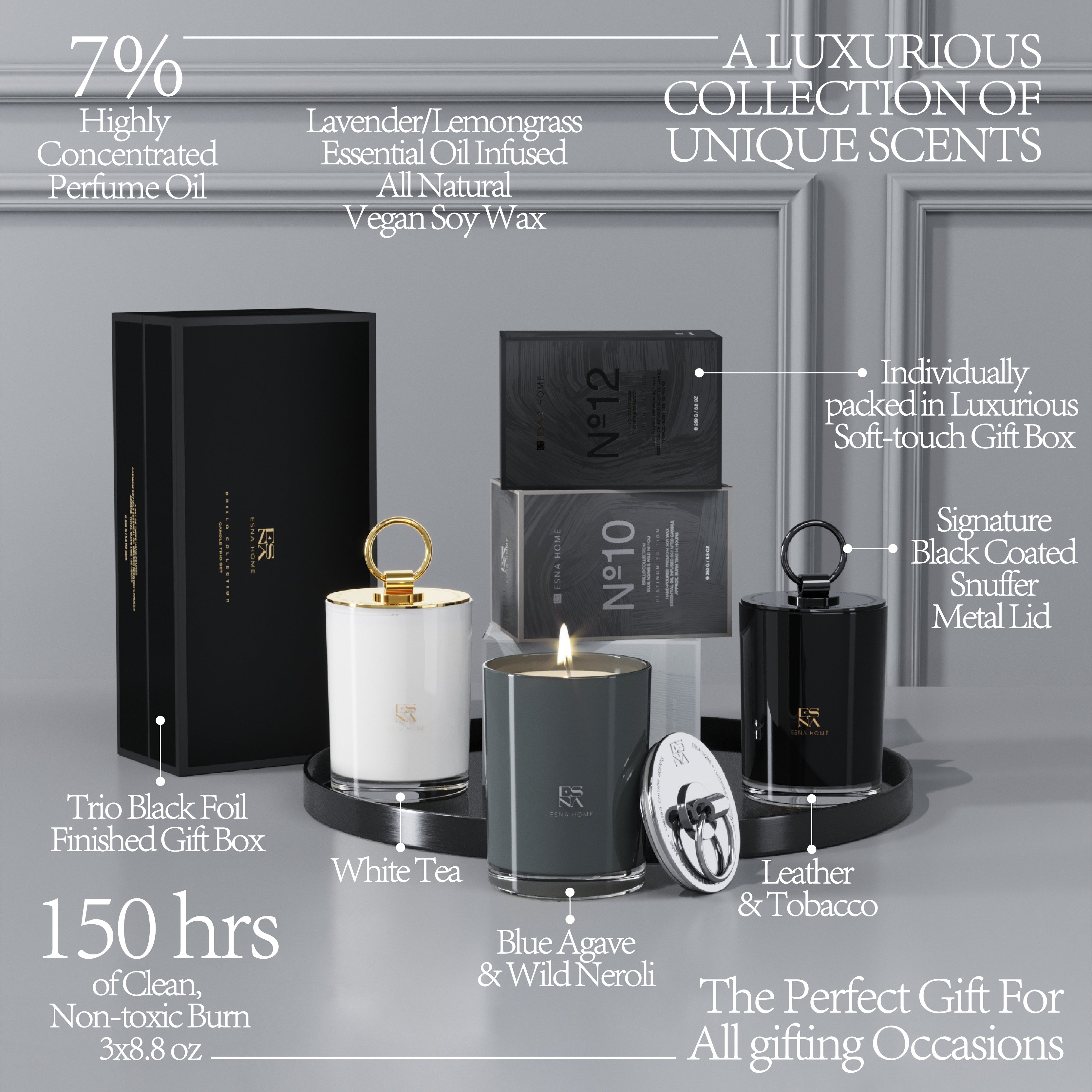 Multi Scents Black Edition