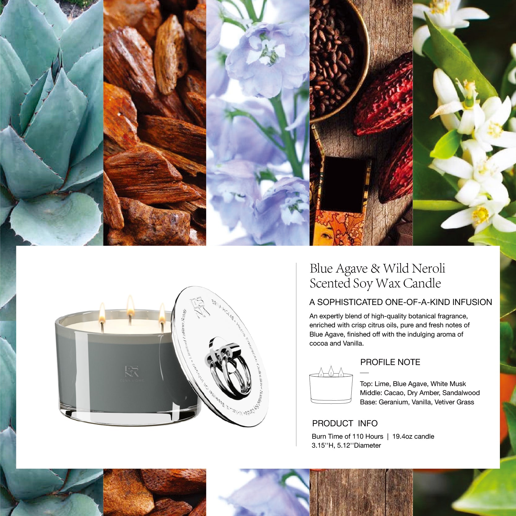 3-Wick Blue Agave & Wild Neroli Scented Candle  |  Brillo Collection