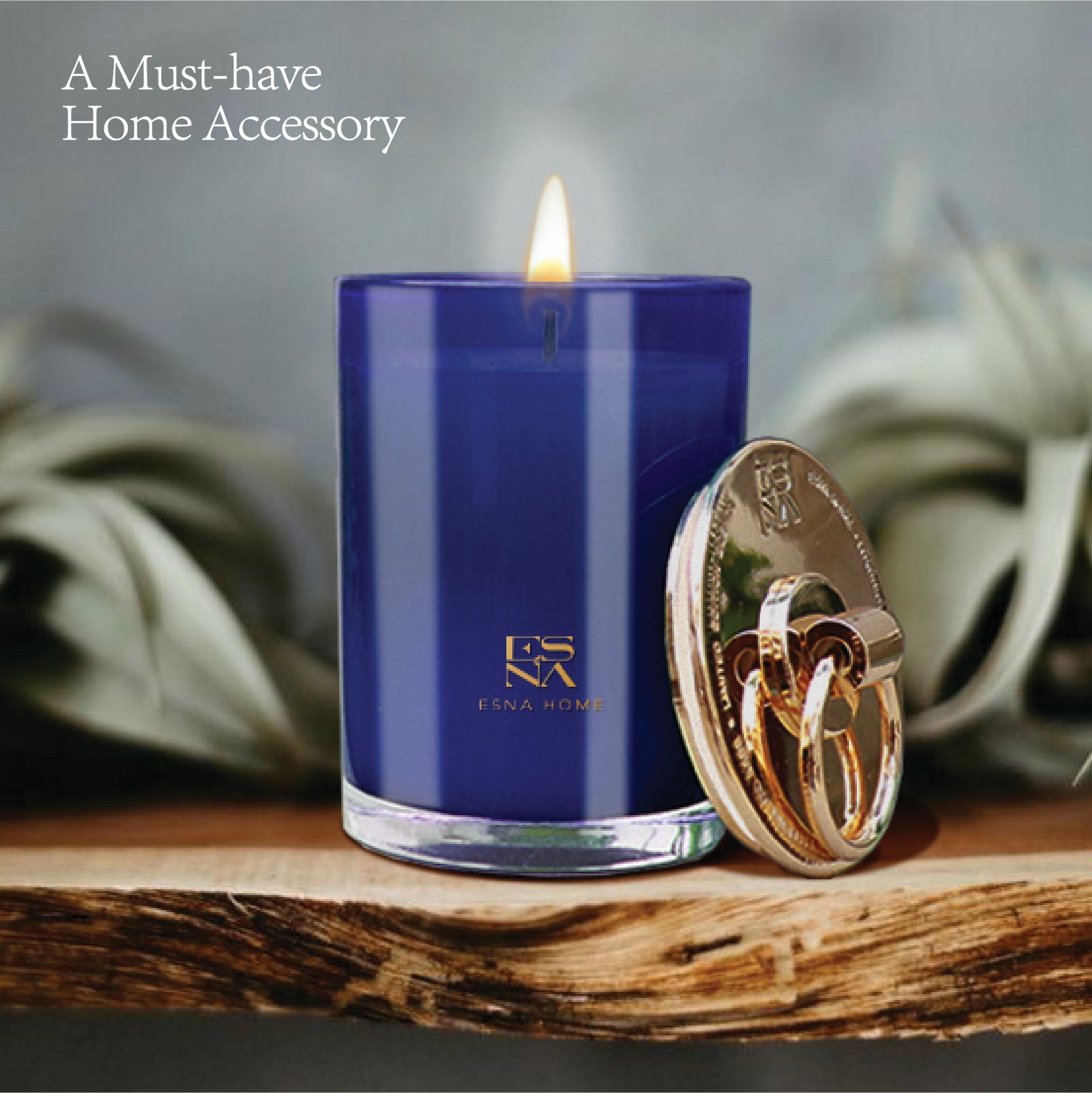 Teakwood & Cognac Scented Candle  |  Brillo Collection