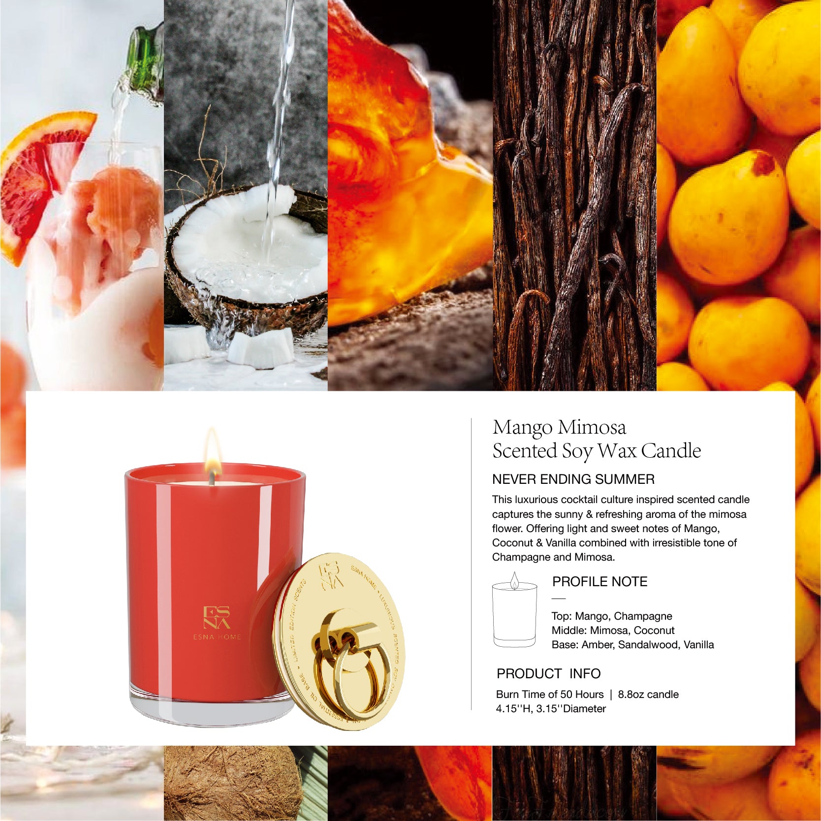Mango Mimosa Scented Candle  |  Brillo Collection